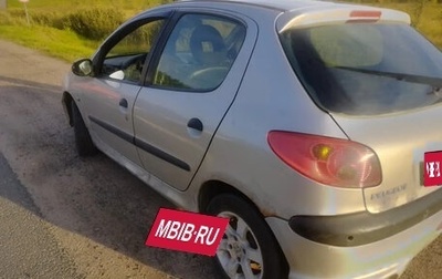 Peugeot 206, 2003 год, 170 000 рублей, 1 фотография