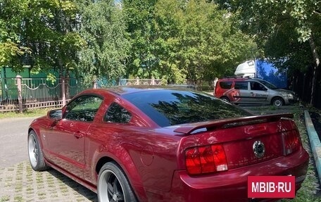 Ford Mustang VI рестайлинг, 2006 год, 1 100 000 рублей, 4 фотография