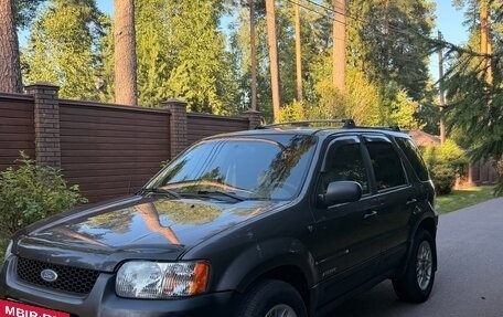 Ford Escape II, 2002 год, 400 000 рублей, 10 фотография