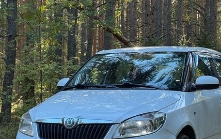 Skoda Fabia II, 2011 год, 510 000 рублей, 20 фотография