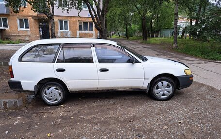 Toyota Corolla, 1995 год, 150 000 рублей, 1 фотография