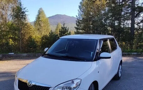 Skoda Fabia II, 2012 год, 900 000 рублей, 17 фотография