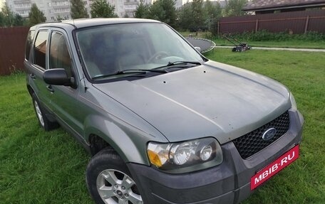 Ford Escape II, 2004 год, 295 000 рублей, 2 фотография