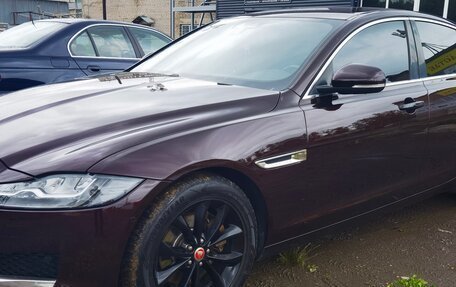 Jaguar XF II, 2016 год, 1 700 000 рублей, 3 фотография