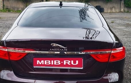 Jaguar XF II, 2016 год, 1 700 000 рублей, 2 фотография