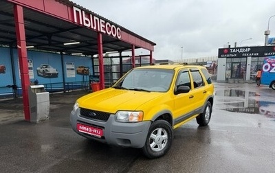 Ford Escape II, 2001 год, 370 000 рублей, 1 фотография