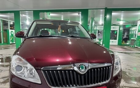 Skoda Fabia II, 2011 год, 920 000 рублей, 1 фотография