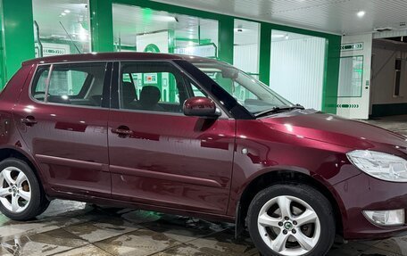 Skoda Fabia II, 2011 год, 920 000 рублей, 8 фотография