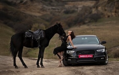 Audi A5, 2014 год, 1 450 000 рублей, 1 фотография
