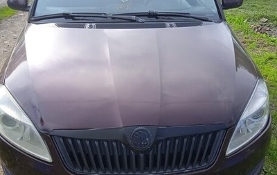 Skoda Fabia II, 2010 год, 130 000 рублей, 1 фотография