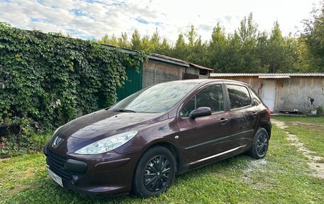 Peugeot 307 I, 2005 год, 298 000 рублей, 10 фотография