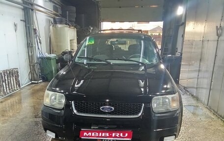 Ford Escape II, 2002 год, 430 000 рублей, 1 фотография