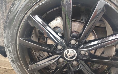 Skoda Octavia, 2016 год, 1 055 555 рублей, 7 фотография