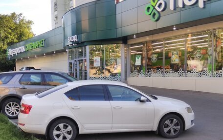 Skoda Octavia, 2014 год, 1 300 000 рублей, 4 фотография