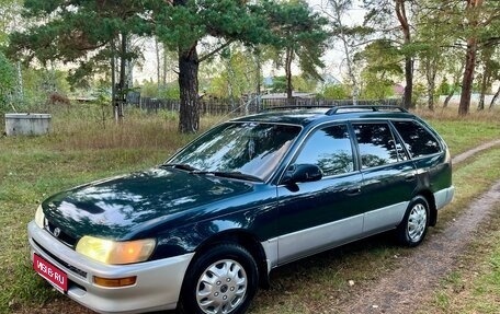 Toyota Corolla, 1996 год, 227 000 рублей, 1 фотография