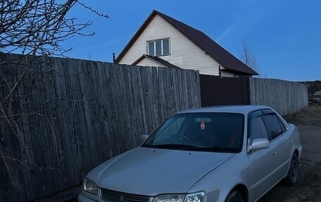 Toyota Corolla, 1998 год, 355 000 рублей, 1 фотография