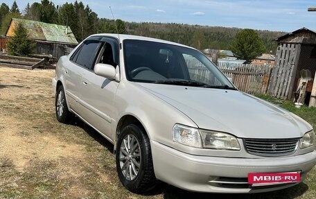 Toyota Corolla, 1998 год, 355 000 рублей, 6 фотография