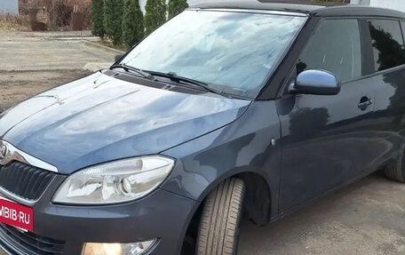 Skoda Fabia II, 2010 год, 650 000 рублей, 9 фотография
