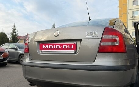 Skoda Octavia, 2007 год, 520 000 рублей, 4 фотография