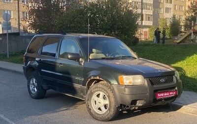 Ford Escape II, 2002 год, 320 000 рублей, 1 фотография