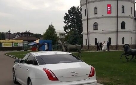 Jaguar XJ IV (X351), 2013 год, 2 400 000 рублей, 3 фотография