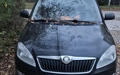 Skoda Fabia II, 2010 год, 350 000 рублей, 1 фотография