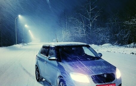 Skoda Fabia II, 2008 год, 262 000 рублей, 1 фотография