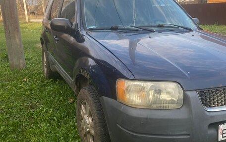 Ford Escape II, 2004 год, 335 000 рублей, 2 фотография