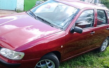 SEAT Ibiza II, 2000 год, 320 000 рублей, 1 фотография