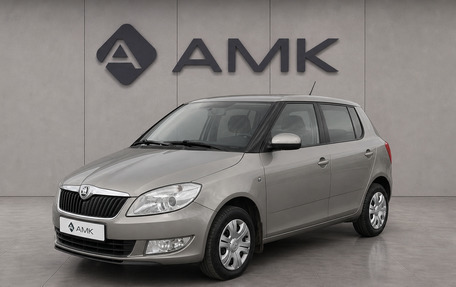 Skoda Fabia II, 2013 год, 509 983 рублей, 1 фотография