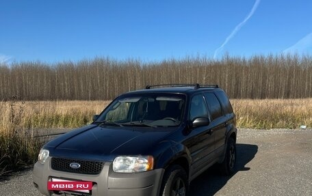 Ford Escape II, 2002 год, 560 000 рублей, 3 фотография