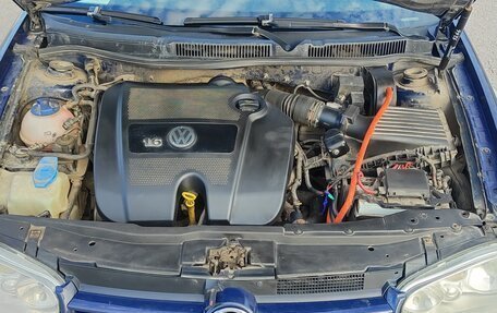 Volkswagen Golf IV, 2003 год, 350 000 рублей, 4 фотография