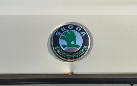 Skoda Fabia II, 2011 год, 420 000 рублей, 19 фотография