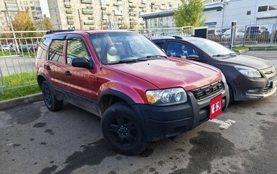 Ford Escape II, 2001 год, 499 000 рублей, 1 фотография