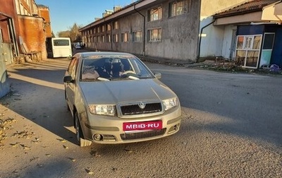 Skoda Fabia I, 2007 год, 350 000 рублей, 1 фотография