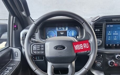 Ford F-150, 2024 год, 8 300 000 рублей, 17 фотография