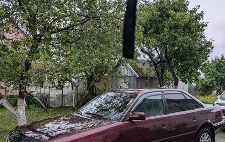 Audi 100, 1993 год, 350 000 рублей, 1 фотография