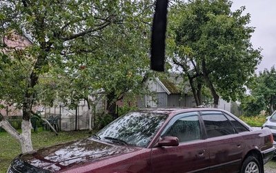 Audi 100, 1993 год, 350 000 рублей, 1 фотография