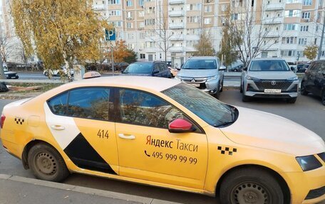 Skoda Octavia, 2019 год, 690 000 рублей, 1 фотография