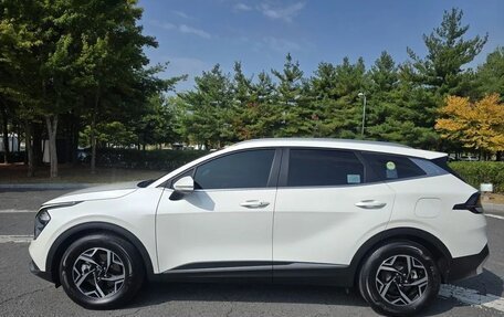 KIA Sportage IV рестайлинг, 2023 год, 2 810 333 рублей, 3 фотография