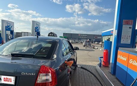 Skoda Octavia, 2012 год, 880 000 рублей, 7 фотография