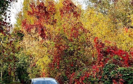 Ford Focus IV, 2004 год, 255 000 рублей, 2 фотография